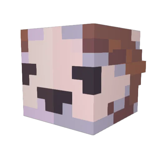 Tezzemi Minecraft avatar head, 3D render