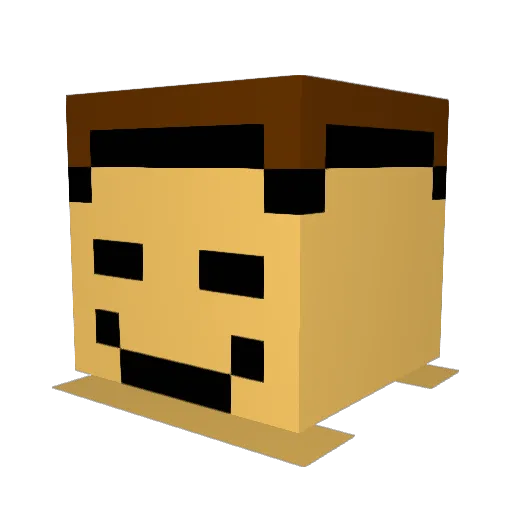 Tf2_kid Minecraft avatar head, 3D render
