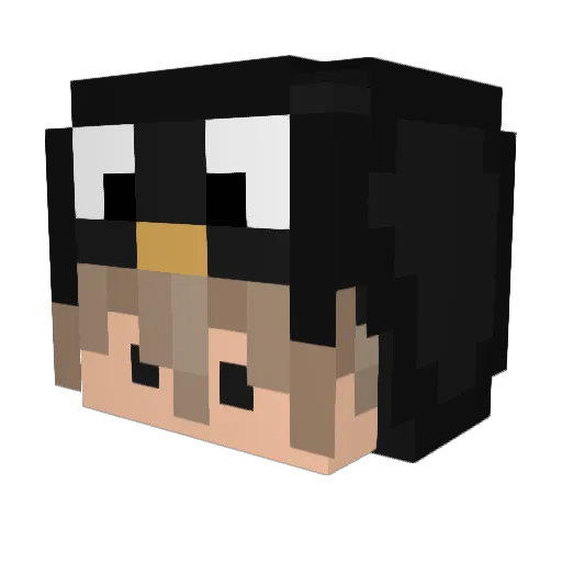 Tfark9 Minecraft avatar head, 3D render