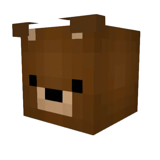 Tfats69 Minecraft avatar head, 3D render