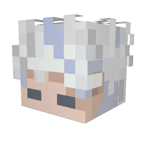 Tfire993 Minecraft avatar head, 3D render