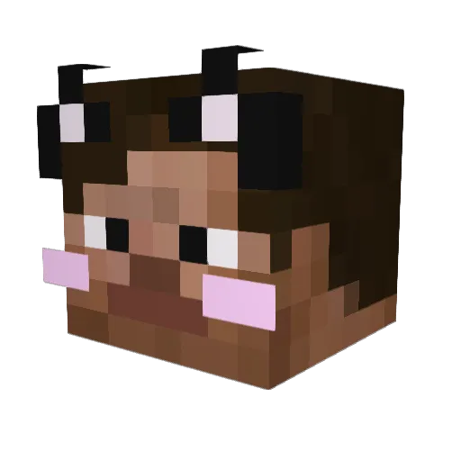 Tfoe3lik Minecraft avatar head, 3D render