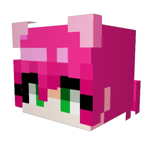 Tfy_ Minecraft avatar head, 3D render