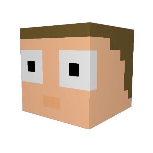 Tg_woIf Minecraft avatar head, 3D render