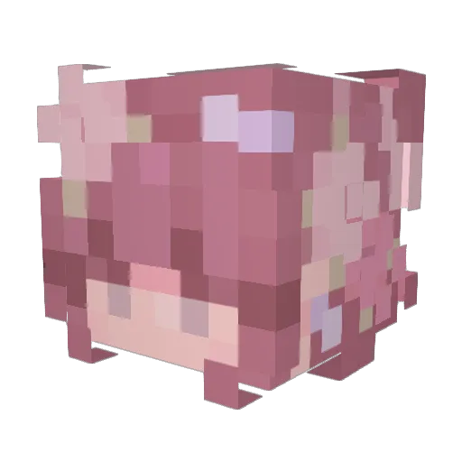 Tgirlsweat Minecraft avatar head, 3D render