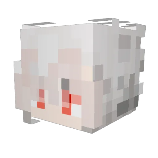 Tgling450 Minecraft avatar head, 3D render