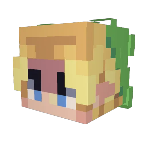 Tgnunknown Minecraft avatar head, 3D render