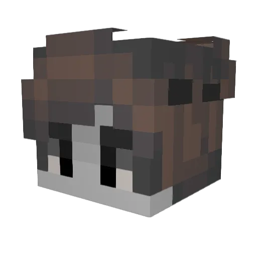 Tgradishar Minecraft avatar head, 3D render