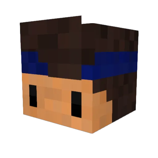 Tgz_ Minecraft avatar head, 3D render