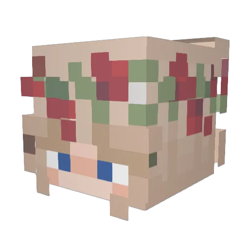 Th0ngMaster Minecraft avatar head, 3D render