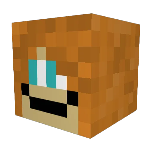 Th1ccBootyJudy Minecraft avatar head, 3D render