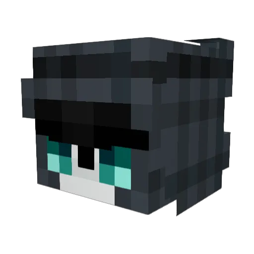 Th1sIsMyName Minecraft avatar head, 3D render