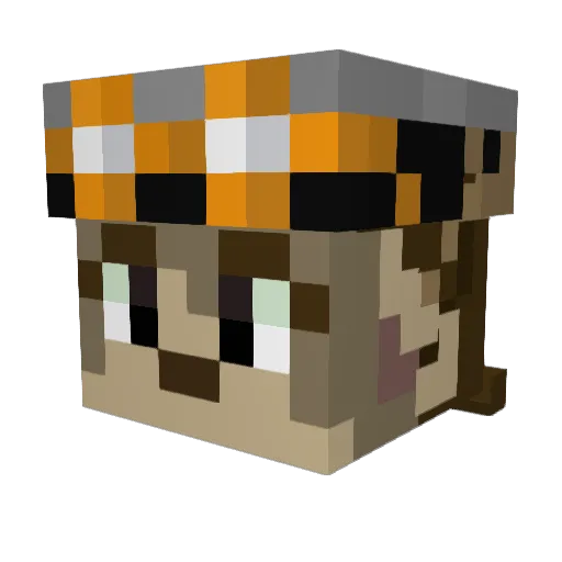 Th3BananaNation Minecraft avatar head, 3D render