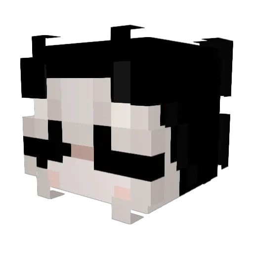 Th3Sh4d0w Minecraft avatar head, 3D render