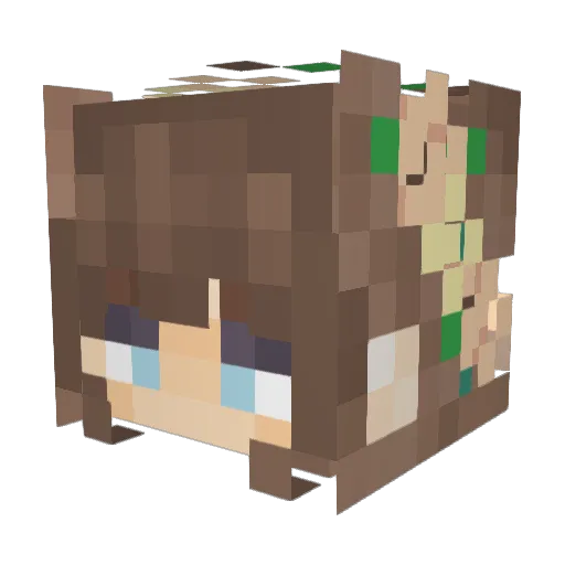 Th3Sunfl0wer Minecraft avatar head, 3D render