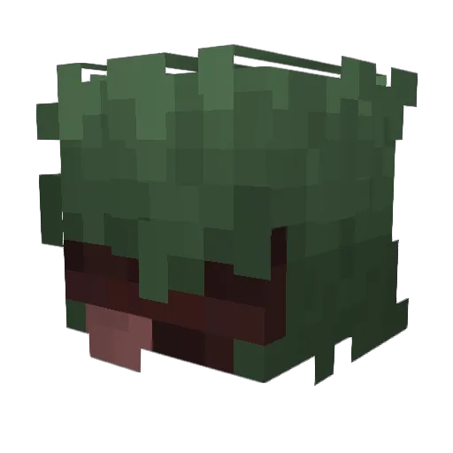 Th3Tr45hc4n Minecraft avatar head, 3D render