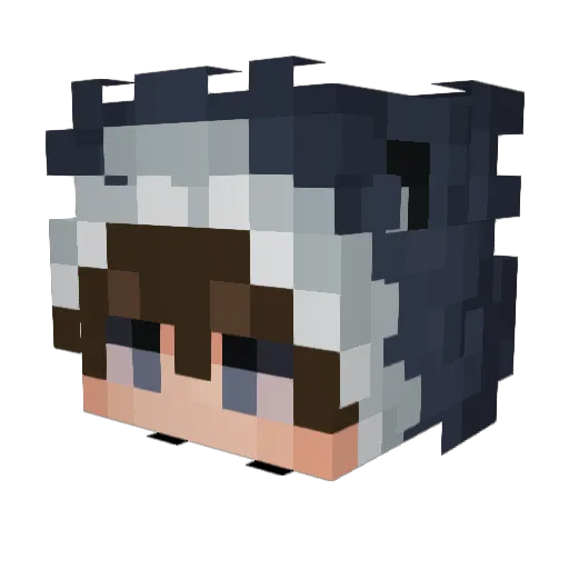 Th4TinyLime Minecraft avatar head, 3D render