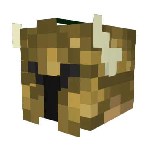 Th4nkY0u Minecraft avatar head, 3D render