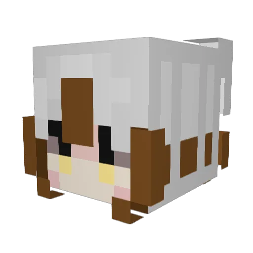 ThJeffy Minecraft avatar head, 3D render
