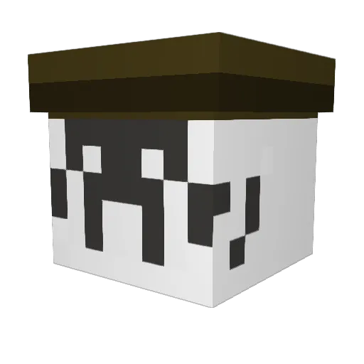 ThaConscript Minecraft avatar head, 3D render