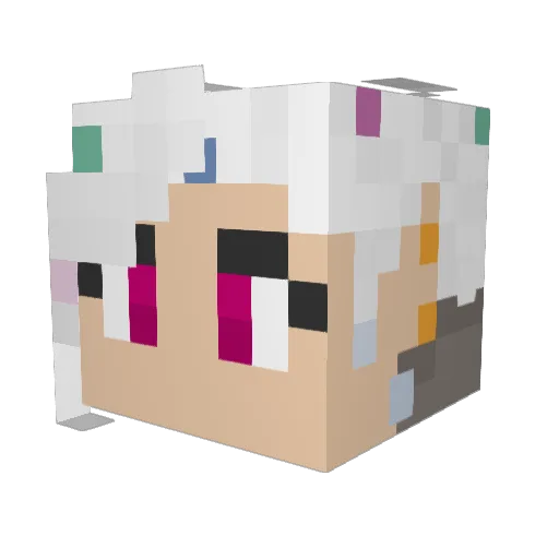 ThaShasta Minecraft avatar head, 3D render