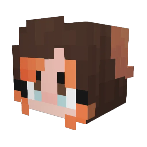 Thaaaaat_Nobody Minecraft avatar head, 3D render