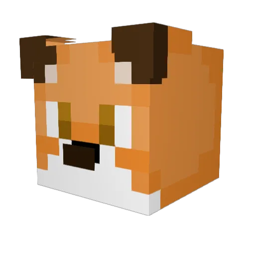 Thad888 Minecraft avatar head, 3D render