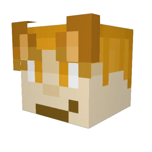 Thadpole2365 Minecraft avatar head, 3D render