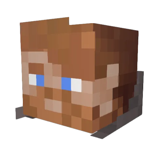 Thaelyon Minecraft avatar head, 3D render