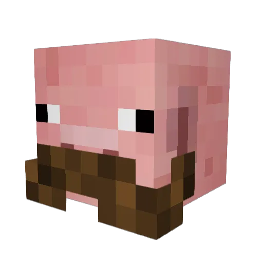Thaioo Minecraft avatar head, 3D render