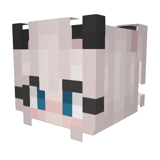 Thaisia Minecraft avatar head, 3D render