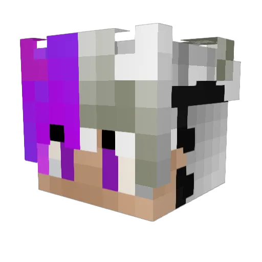 Thalizim Minecraft avatar head, 3D render