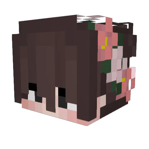 Thamos11 Minecraft avatar head, 3D render