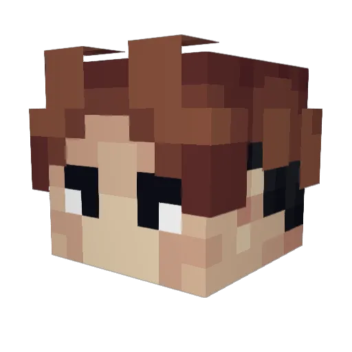 Thank_You_SP5 Minecraft avatar head, 3D render