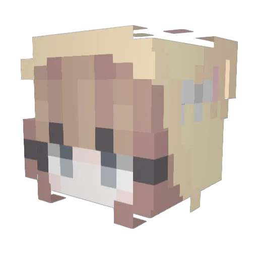ThanksForFlowers Minecraft avatar head, 3D render