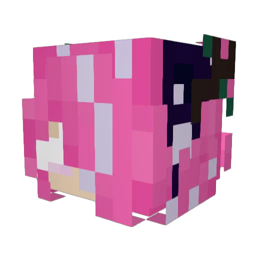 That0neWeirdElve Minecraft avatar head, 3D render