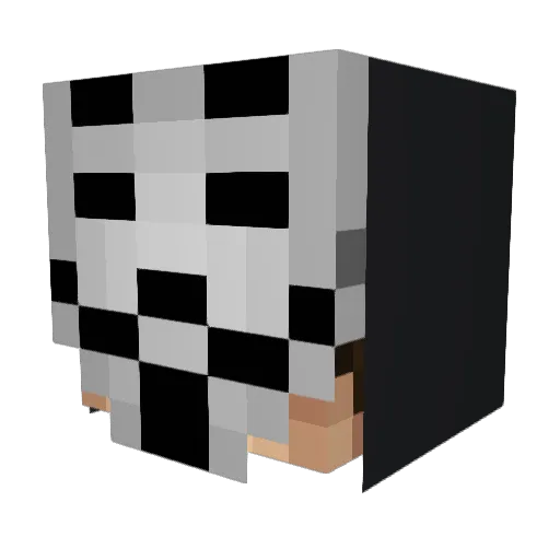 That1LonelyGuy Minecraft avatar head, 3D render