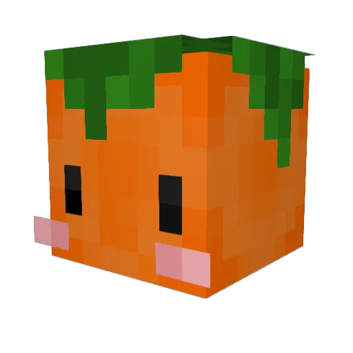 That1guy4452 Minecraft avatar head, 3D render
