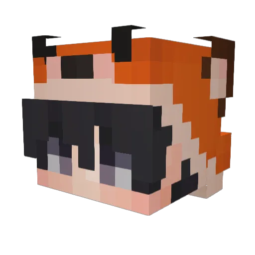 That1o1Random Minecraft avatar head, 3D render