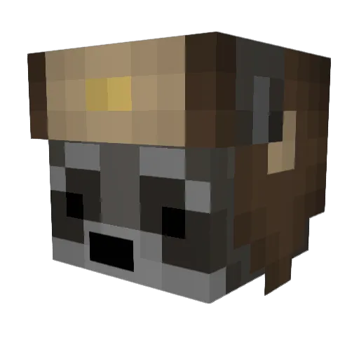 That1racoon Minecraft avatar head, 3D render