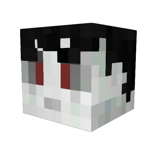 ThatBoyRob Minecraft avatar head, 3D render