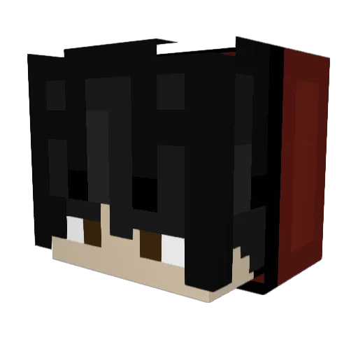ThatBoyTrjo Minecraft avatar head, 3D render