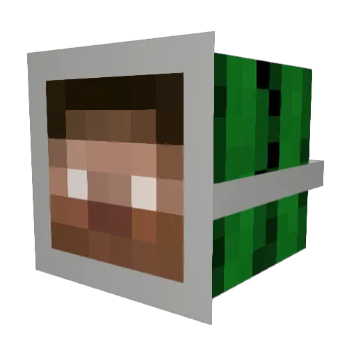 ThatCactusIsASpy Minecraft avatar head, 3D render