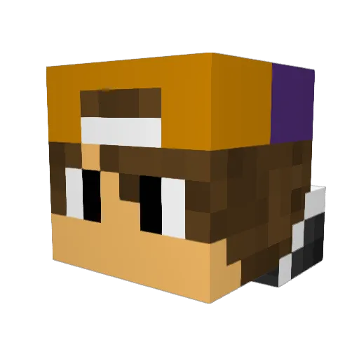 ThatCarolinaGuy Minecraft avatar head, 3D render