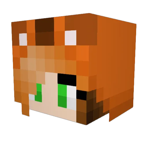 ThatCoolchick14 Minecraft avatar head, 3D render