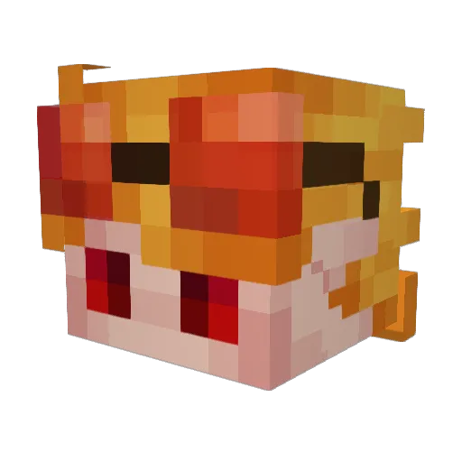 ThatCoyGamer Minecraft avatar head, 3D render