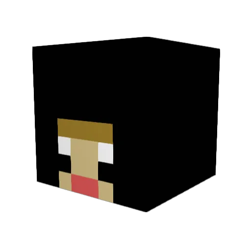 ThatCrazyMiner11 Minecraft avatar head, 3D render