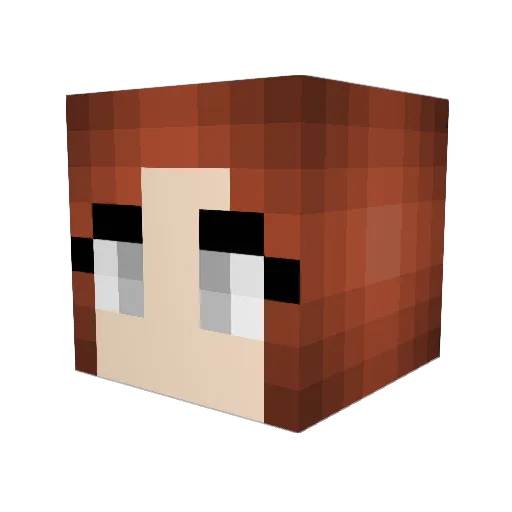 ThatDankOwl Minecraft avatar head, 3D render