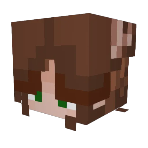 ThatDonutCat Minecraft avatar head, 3D render