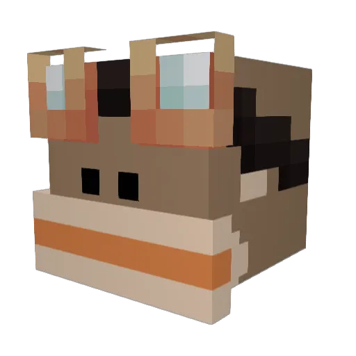 ThatDudeVoid Minecraft avatar head, 3D render